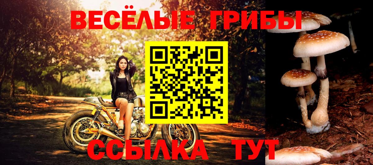 Абинск  Галлюциногенные грибы GOLDEN TEACHER  Вход с VPN 