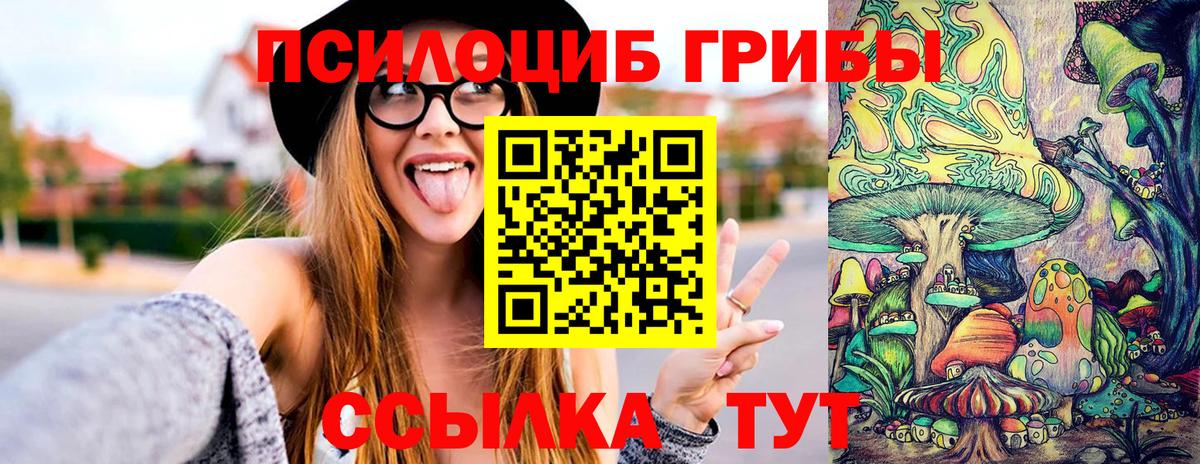 Галлюциногенные грибы Psilocybine cubensis Абинск