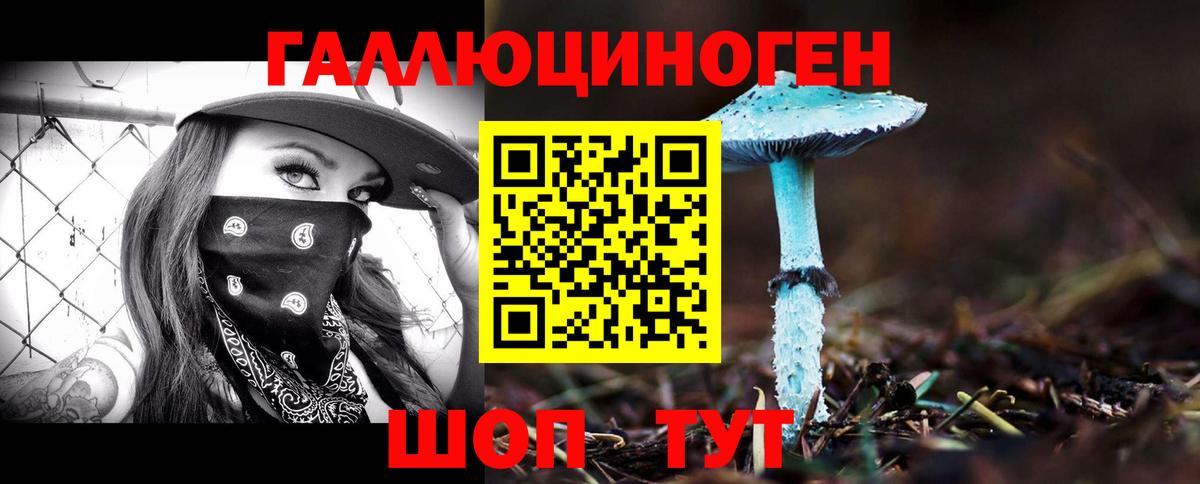Абинск  Галлюциногенные грибы GOLDEN TEACHER  Вход с VPN  Псилоцибиновые грибы Cubensis 